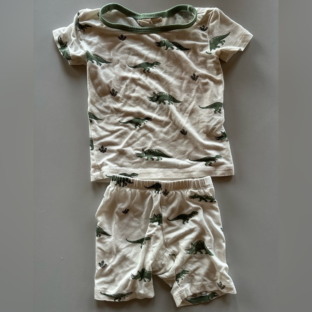 COPY - Kyte baby dino 18-24 months